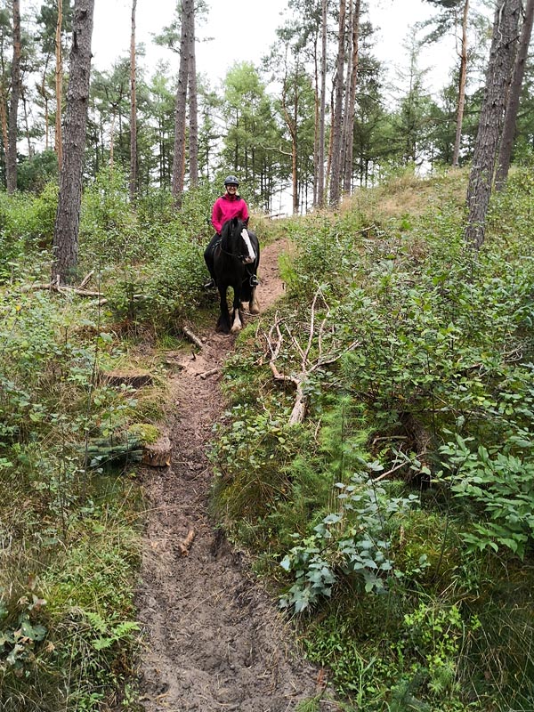Mit meinem Leihpony Jacinta im Wald