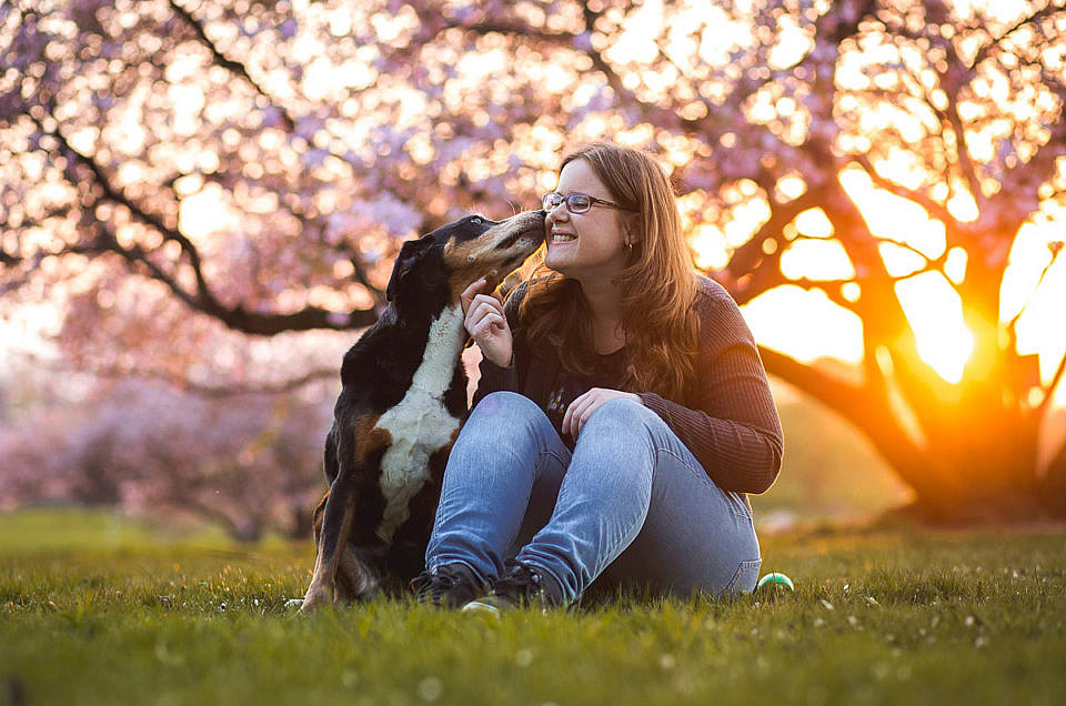 Kundenfotoshootings mit Hunden » Anna Panke • Pferde und
